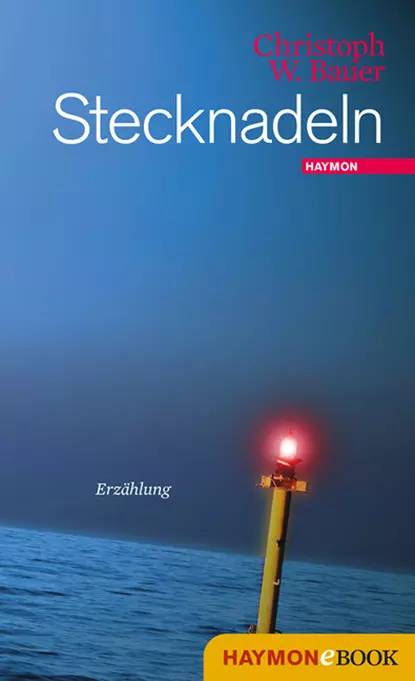 Обложка книги Stecknadeln, Christoph W.  Bauer