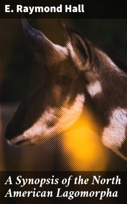 E. Raymond Hall - A Synopsis of the North American Lagomorpha