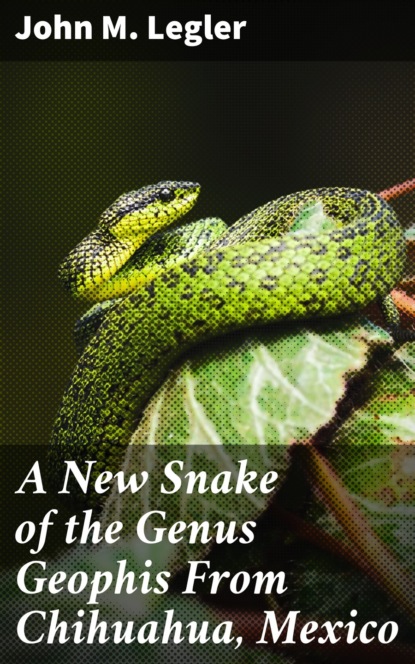 

A New Snake of the Genus Geophis From Chihuahua, Mexico