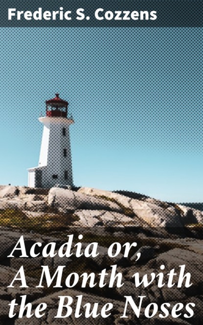 Frederic S. Cozzens - Acadia or, A Month with the Blue Noses