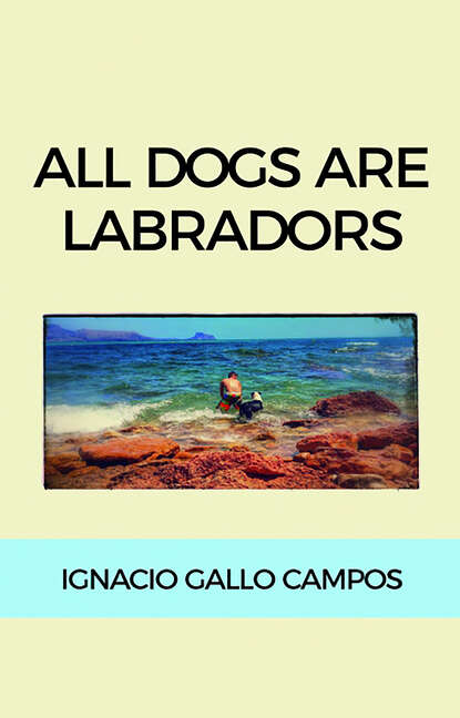 Ignacio Gallo Campos - All dogs are Labradors