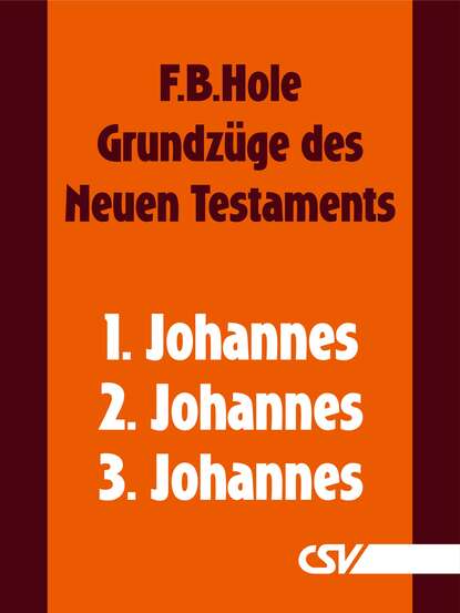 Grundz?ge des Neuen Testaments - 1., 2. & 3. Johannes
