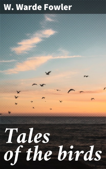 

Tales of the birds