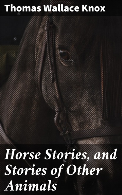 Thomas Wallace Knox - Horse Stories, and Stories of Other Animals