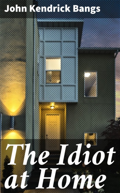 

The Idiot at Home