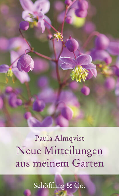 Paula Almqvist - Neue Mitteilungen aus meinem Garten