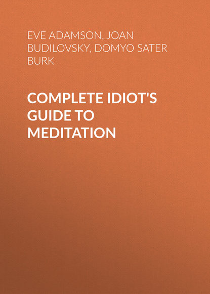 Eve Adamson — Complete Idiot's Guide to Meditation