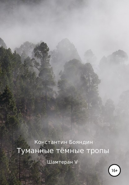 Константин Бояндин - Туманные тёмные тропы