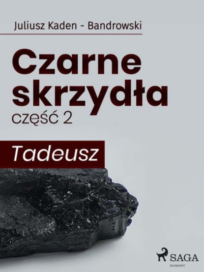 

Czarne skrzydła. Część 2. Tadeusz