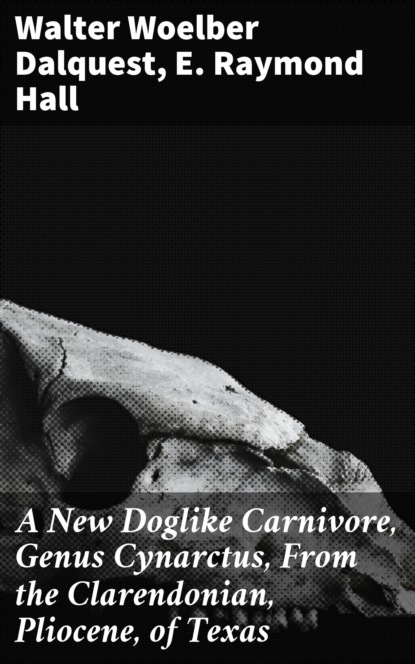 E. Raymond Hall - A New Doglike Carnivore, Genus Cynarctus, From the Clarendonian, Pliocene, of Texas
