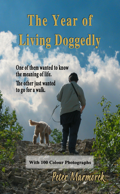 

The Year of Living Doggedly