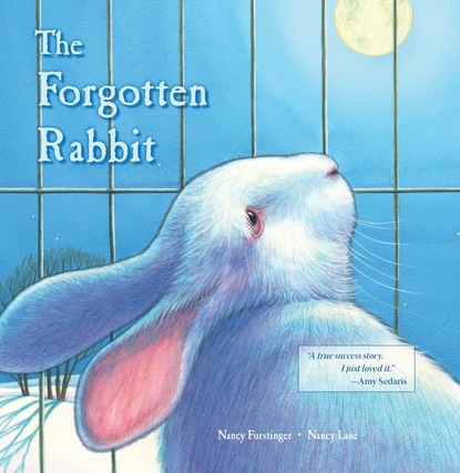 Nancy Furstinger — The Forgotten Rabbit