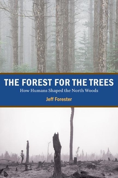 Jeff  Forester - The Forest for the Trees