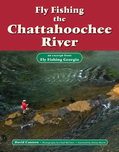 David Cannon L. - Fly Fishing the Chattahoochee River