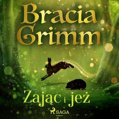 

Zając i jeż