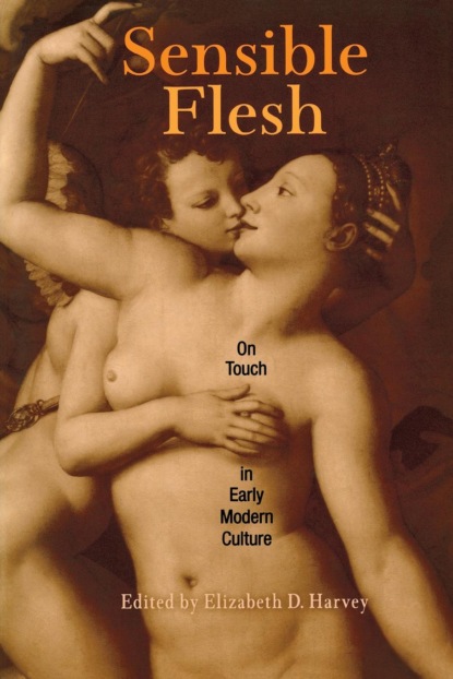 

Sensible Flesh
