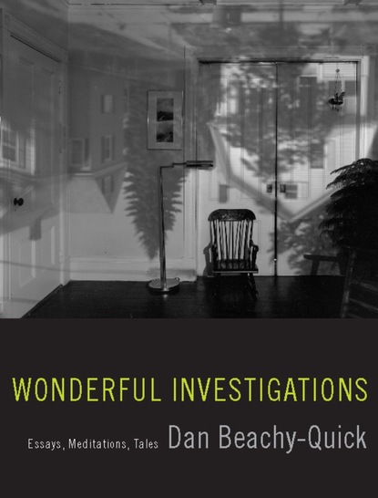

Wonderful Investigations