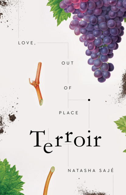 

Terroir