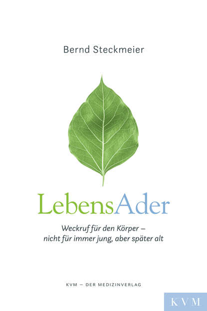 Bernd Steckmeier — LebensAder