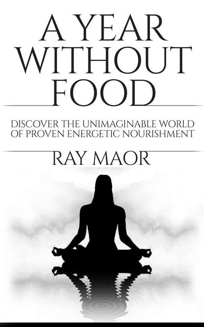 Ray Maor — A Year Without Food