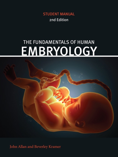 

Fundamentals of Human Embryology
