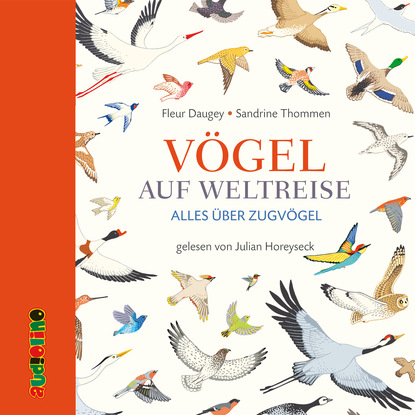 Ксюша Ангел - Vögel auf Weltreise - Alles über Zugvögel