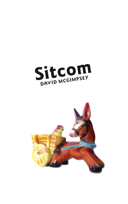 David McGimpsey - Sitcom