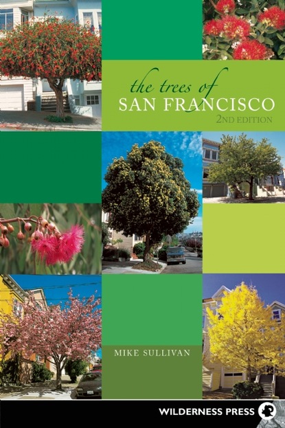 Michael  Sullivan - The Trees of San Francisco