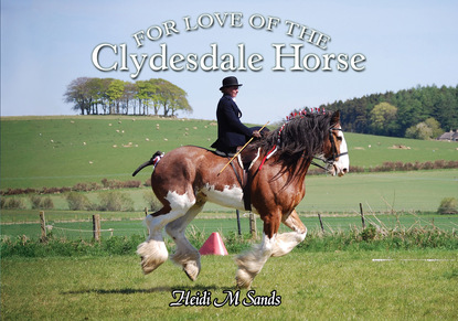 Heidi M. Sands - For Love of the Clydesdale Horse