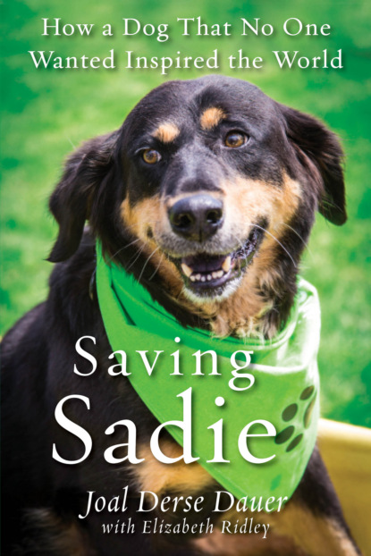 Joal Derse Dauer - Saving Sadie