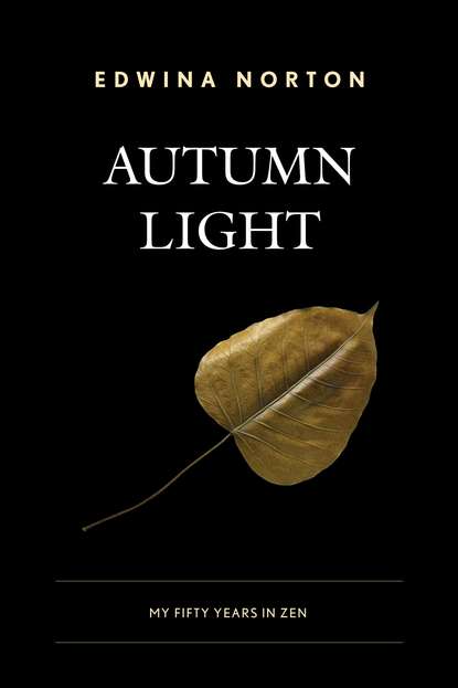 

Autumn Light