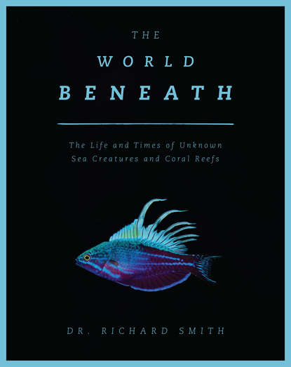 Richard  Smith - The World Beneath