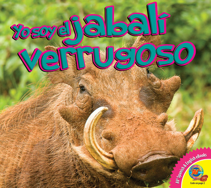 

El jabalí verrugoso