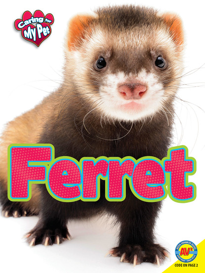 

Ferret