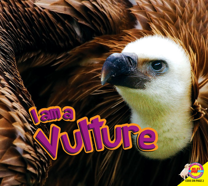 

Vulture