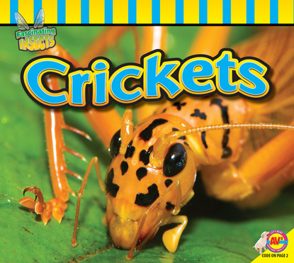 

Crickets