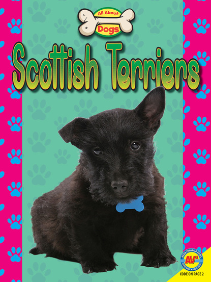 

Scottish Terriers