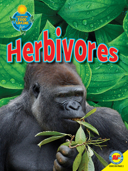 

Herbivores