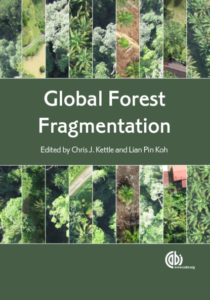 

Global Forest Fragmentation