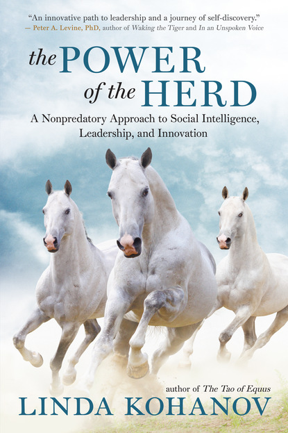 Linda Kohanov - The Power of the Herd