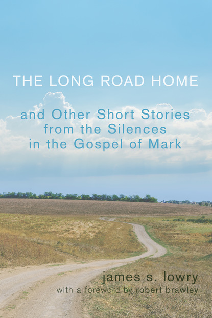 

The Long Road Home and Other Short Stories from the Silences in the Gospel of Mark