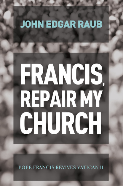 John Edgar Raub - Francis, Repair My Church