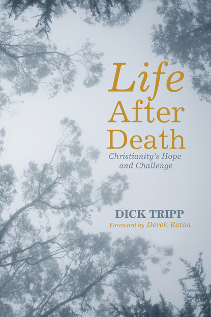 Dick Tripp - Life After Death