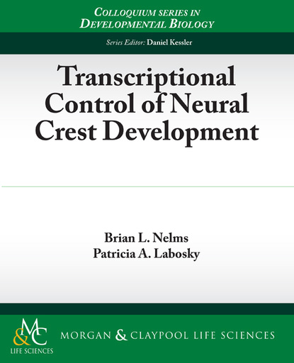 Brian Nelms - Transcriptional Control of Neural Crest Development