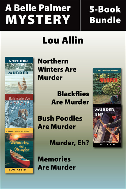 Lou Allin — Belle Palmer Mysteries 5-Book Bundle