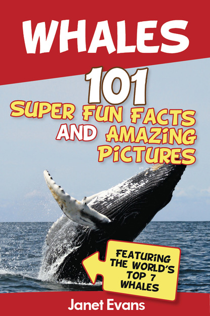 Janet Evans - Whales: 101 Fun Facts & Amazing Pictures (Featuring The World's Top 7 Whales)