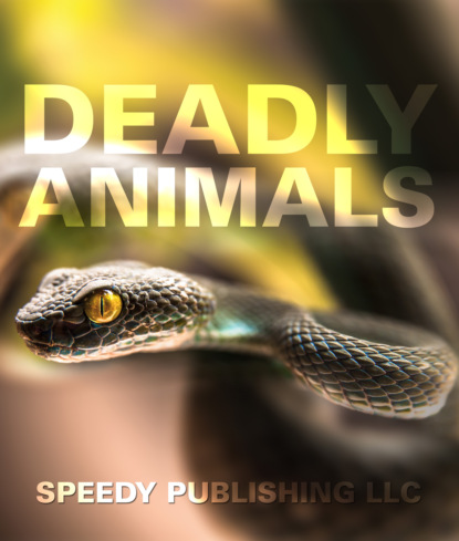 

Deadly Animals in the Wild