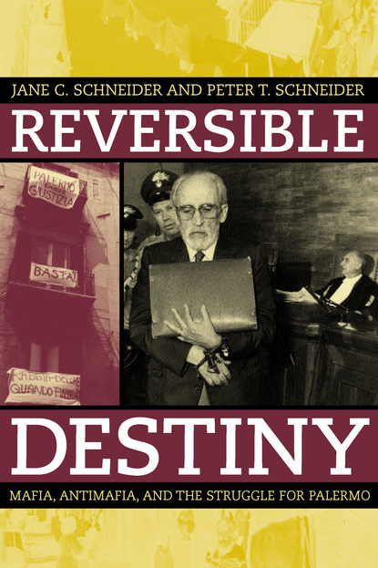 Peter T. Schneider - Reversible Destiny