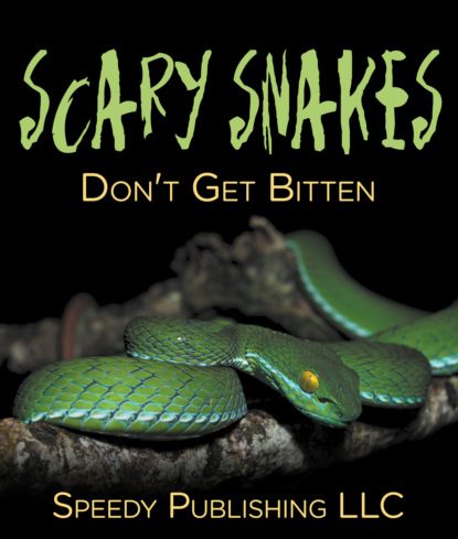 

Scary Snakes - Don't Get Bitten