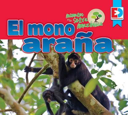

Animales de la Selva Amazónica — El mono araña